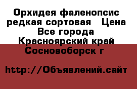 Орхидея фаленопсис редкая сортовая › Цена ­ 800 - Все города  »    . Красноярский край,Сосновоборск г.